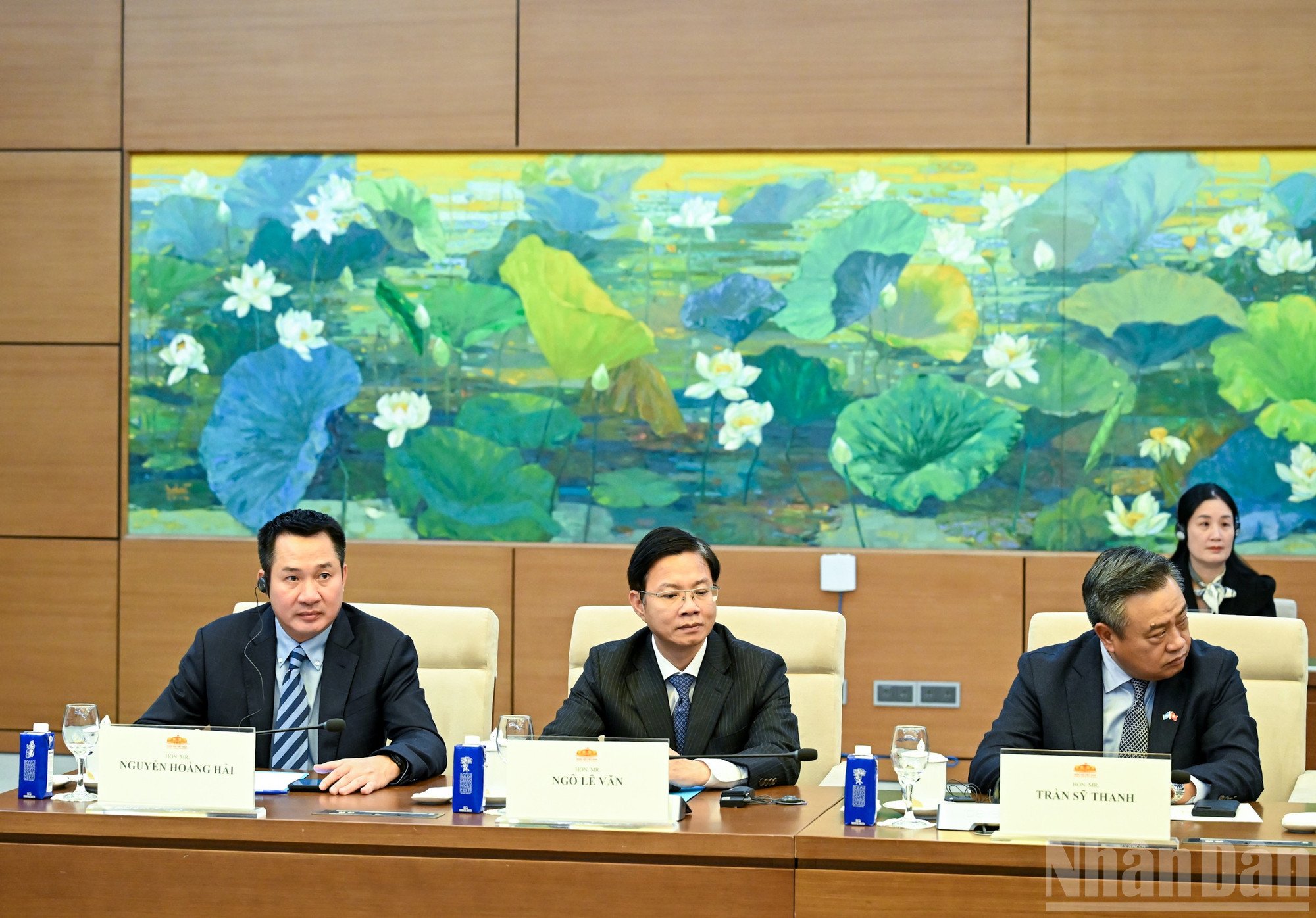ndo_br_bnd-2436.jpg