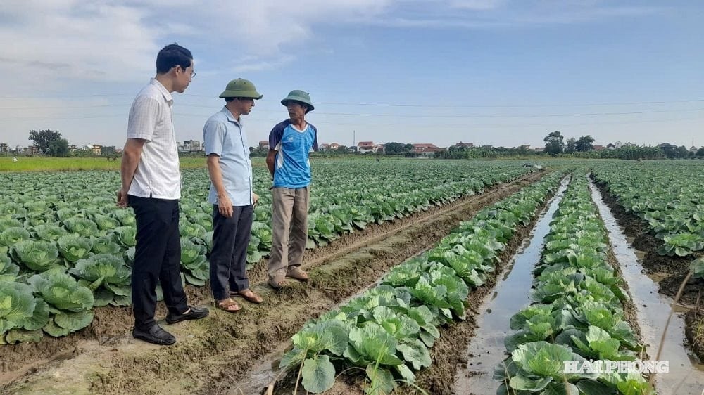 ខេ-វូ ២