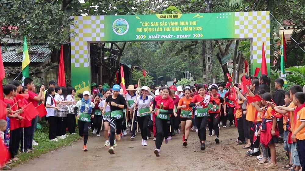 Nearly 500 athletes participate in the
