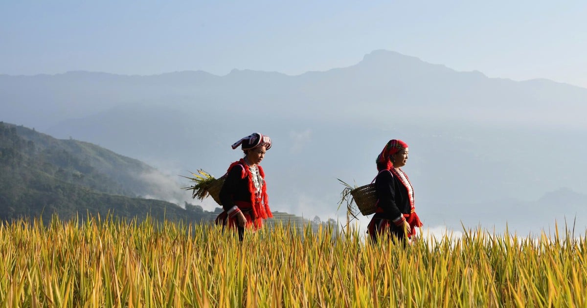 Lô Lô Chải - Làng du lịch tốt nhất thế giới