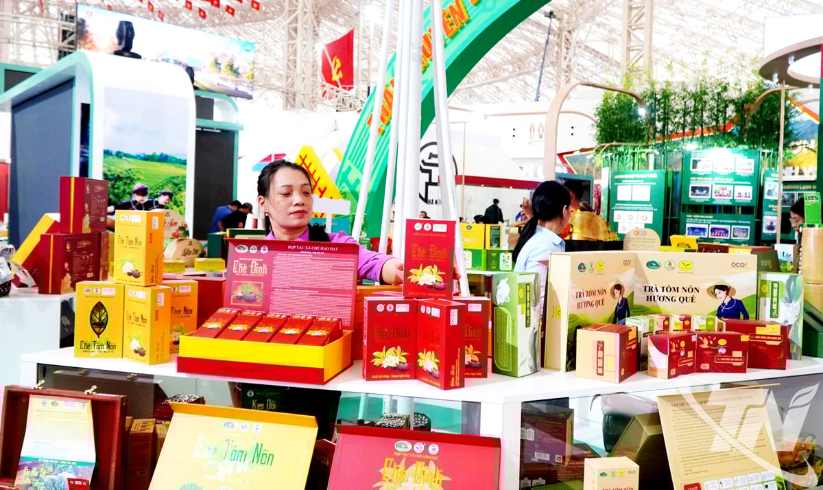 Typische ländliche Industrieprodukte und OCOP-Produkte von Thai Nguyen werden auf vielen großen Ausstellungen und Messen innerhalb und außerhalb der Provinz ausgestellt und vorgestellt.