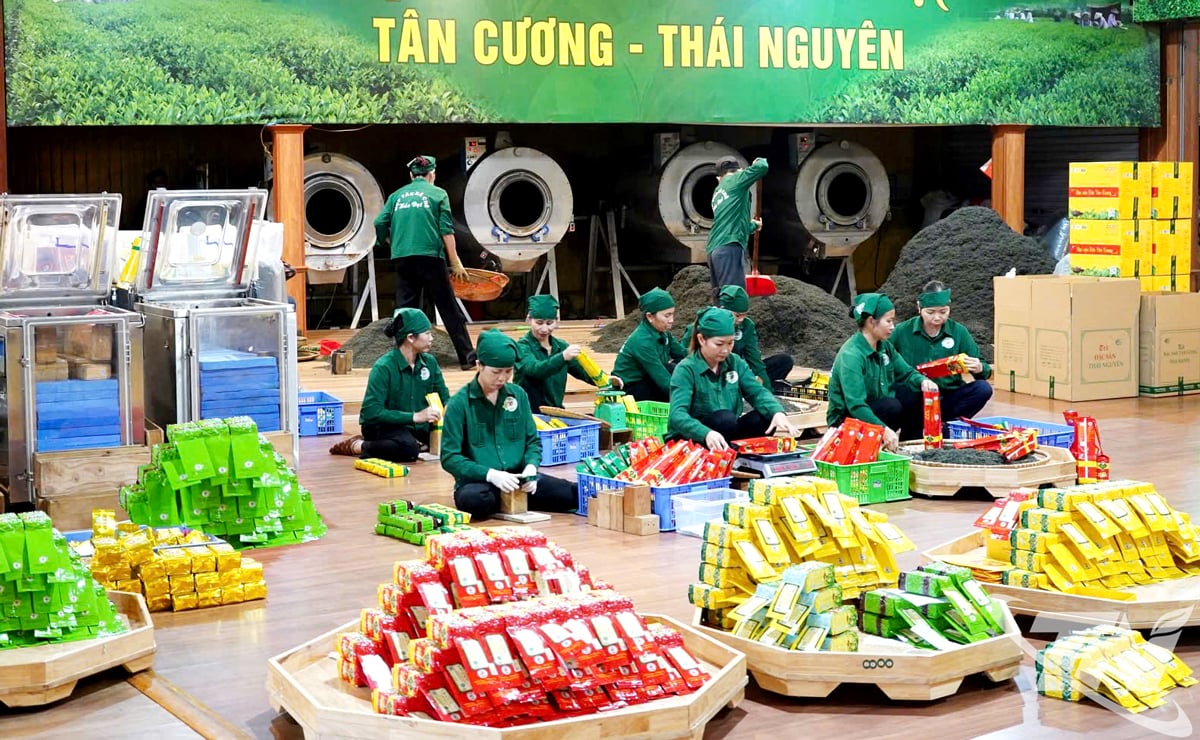 Der Garnelentee der Hao Dat Tea Cooperative gilt als typisches nationales ländliches Industrieprodukt und wird von den Verbrauchern auf dem Markt bevorzugt.