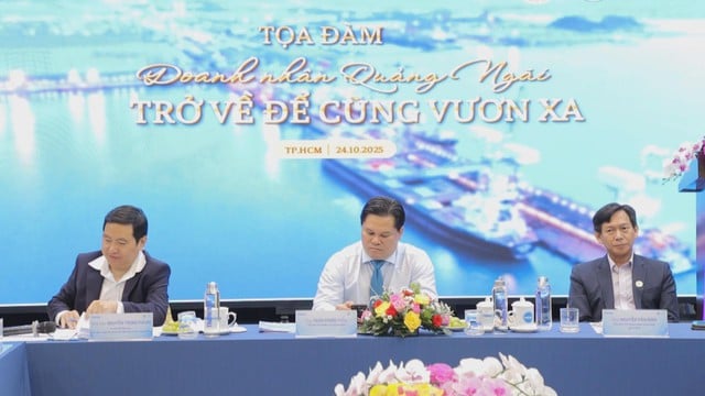 THÚC ĐẨY HỢP TÁC ĐẦU TƯ GIỮA QUẢNG NGÃI VÀ TP. HỒ CHÍ MINH - Ảnh 2.