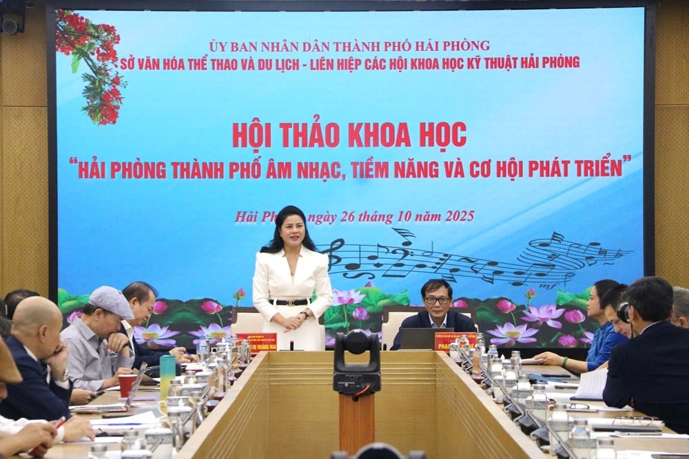 Hai Phong – Musikkens by: Potensial og utviklingsmuligheter – bilde 1