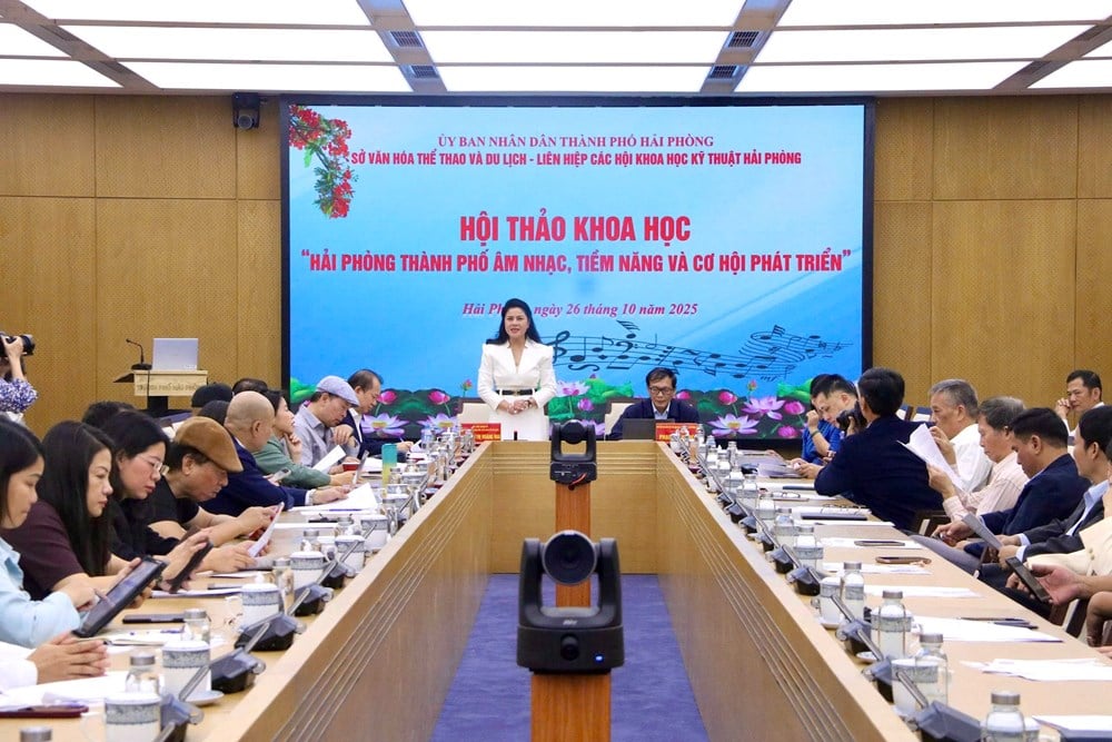 Hai Phong – Musikkens by: Potensial og utviklingsmuligheter – bilde 3