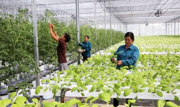 Thúc đẩy KH,CN để đặt mục tiêu tăng trưởng cao và giảm phát thải- Ảnh 1. Thúc đẩy KH,CN để đặt mục tiêu tăng trưởng cao và giảm phát thải- Ảnh 1.
