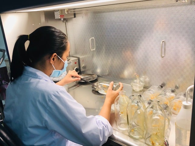 Bước đột phá về cơ chế tài chính cho các Quỹ phát triển khoa học, công nghệ và đổi mới sáng tạo- Ảnh 2.