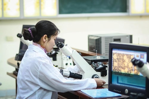 Đổi mới cơ chế khoán chi trong thực hiện nhiệm vụ khoa học, công nghệ và đổi mới sáng tạo- Ảnh 1.