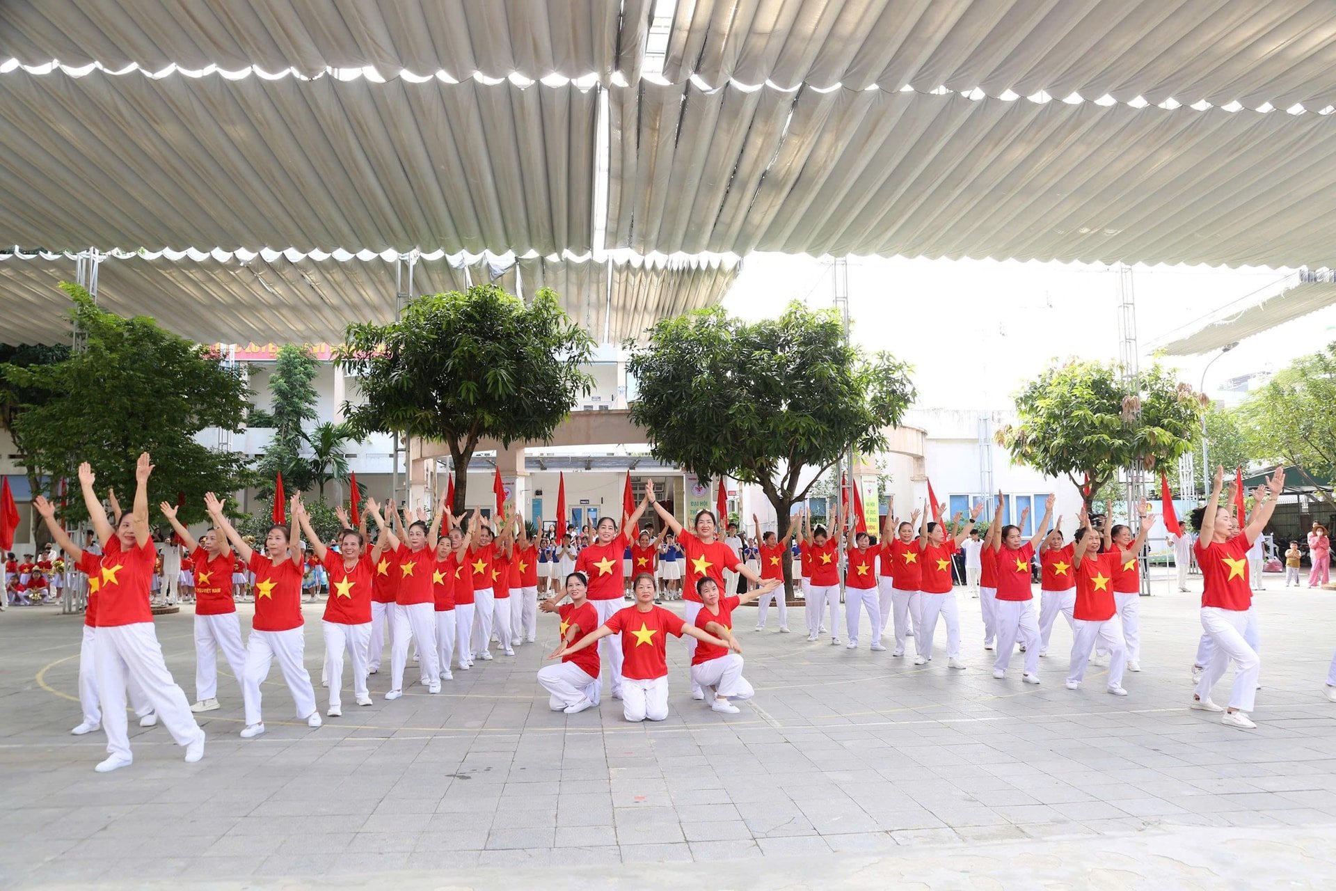 dong-dien-pn(1).jpg