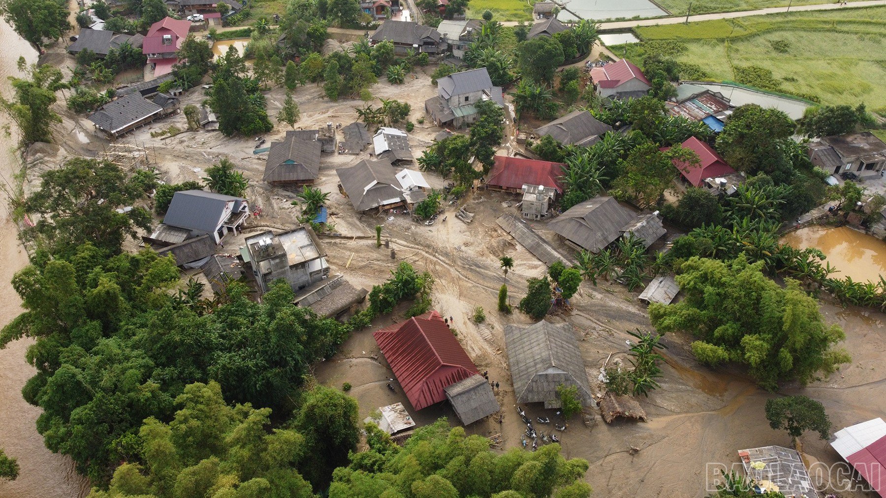 baolaocai-br_dji-0867.jpg