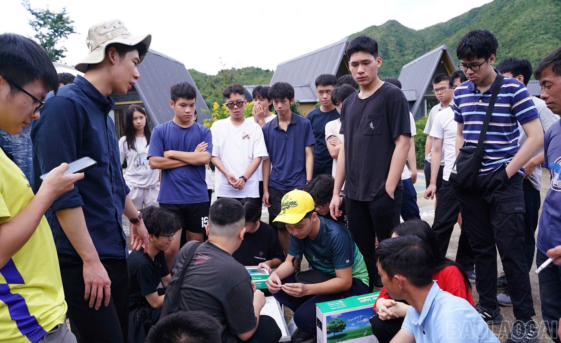 baolaocai-br_hs-20.jpg
