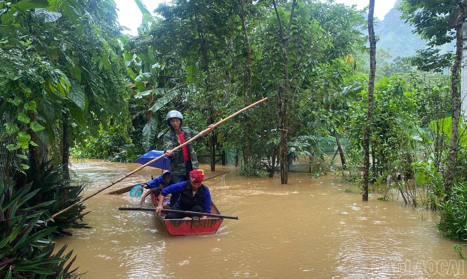 baolaocai-br_17.jpg