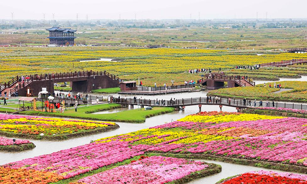 អ្នកទេសចរទៅទស្សនាព្រៃលិចទឹកនៅ Hung Hoa ខេត្ត Jiangsu