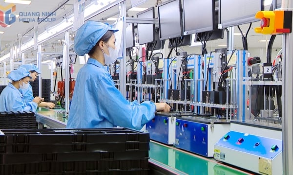 Quyết tâm vượt chỉ tiêu thu ngân sách nhà nước