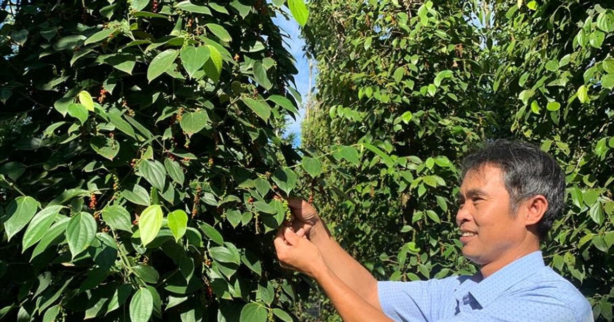 Xây dựng nông nghiệp sinh thái, nông thôn hiện đại