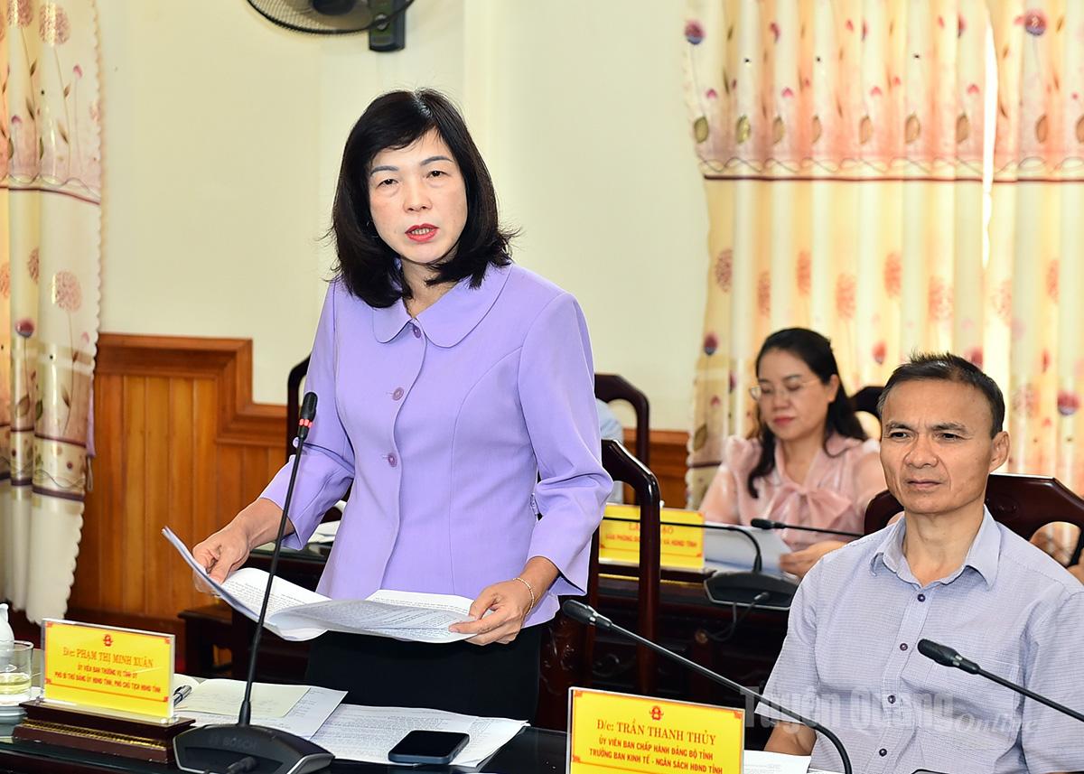 Comrade Pham Thi Minh Xuan, Vice Chairwoman of the Provincial People's Council spoke at the meeting.