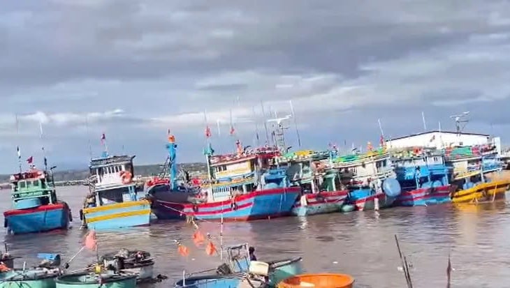 ນຳໃຊ້ເຮືອບັນທຸກເຂົ້າກູ້ໄພ 7 ລຳ ທີ່ມີສາຍສະມໍຫັກ -0