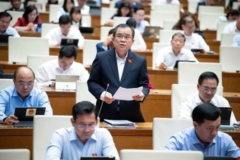 nguyen-tam-hung.jpg