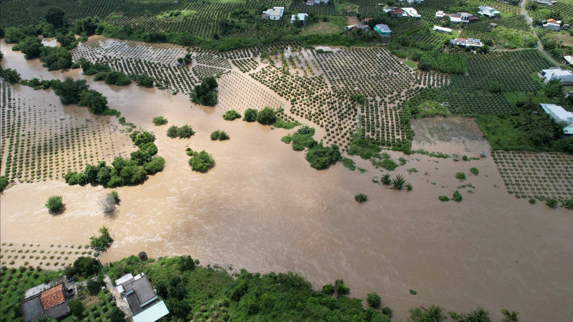 Bình Thuận