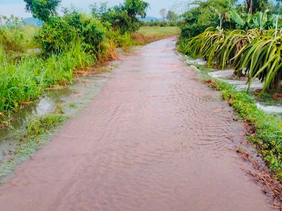 hàm Thannh