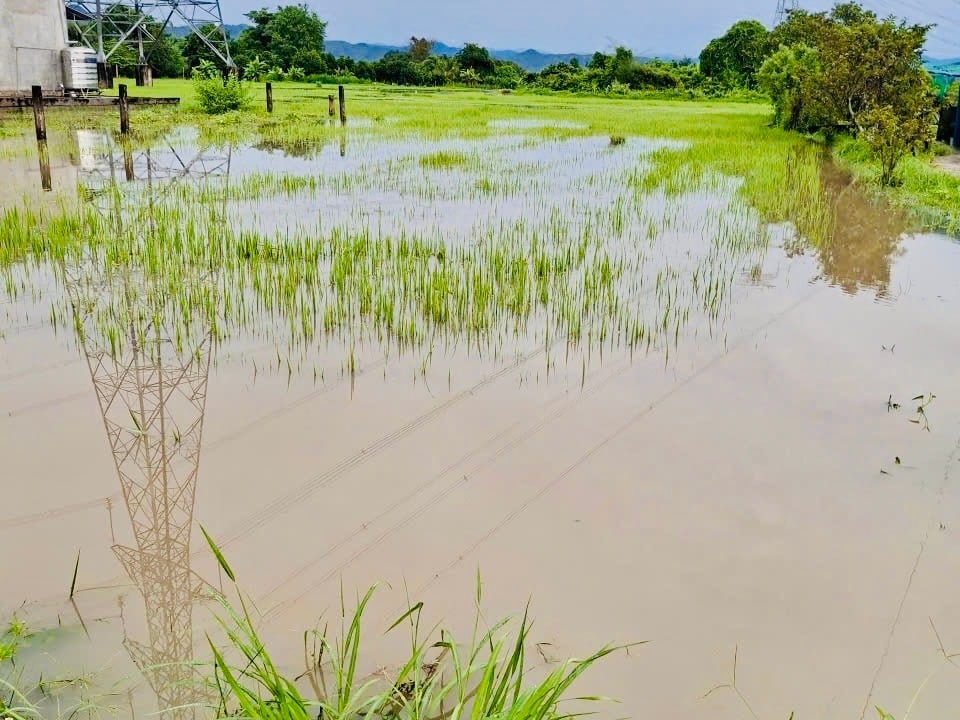 Hàm Thuận