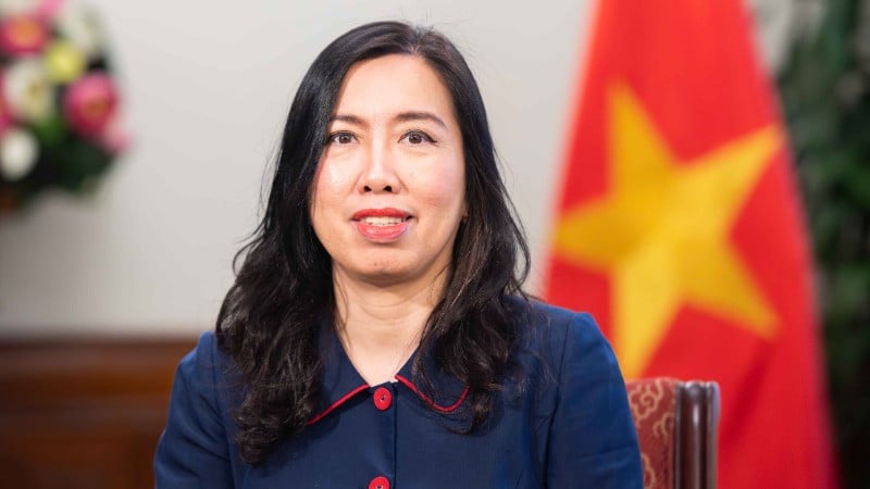 អនុរដ្ឋមន្ត្រីការបរទេស Le Thi Thu Hang។ (រូបថត៖ កាសែតពិភពលោក និងវៀតណាម)