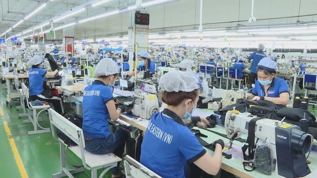 Kinh tế TP. Hồ Chí Minh khởi sắc, doanh nghiệp đẩy mạnh sản xuất cuối năm - Ảnh 3.