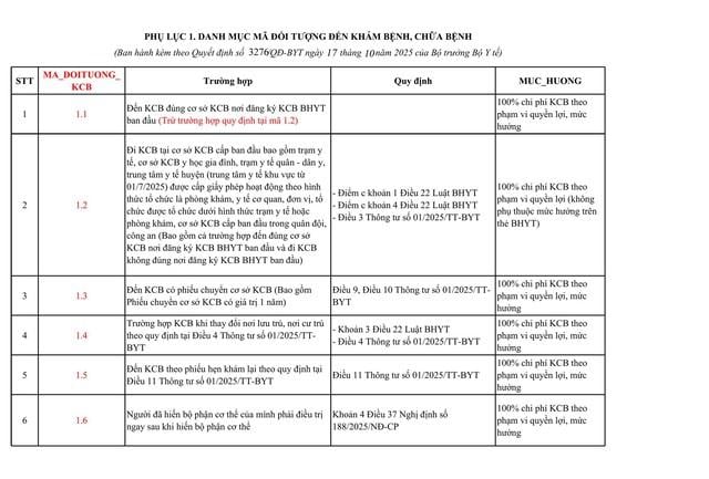 Avgjørelse 3276/QD-BYT: Liste over koder for personer som kommer til medisinsk undersøkelse og behandling under HELSEFORSIKRING - Foto 4. Quyết định 3276/QĐ-BYT: Danh mục mã đối tượng đến khám, chữa bệnh BẢO HIỂM Y TẾ- Ảnh 4.