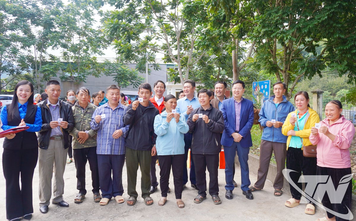 O camarada Dinh Quang Tuyen participou do programa de sorteio para criação de vacas para famílias pobres na comuna de Na Phac.