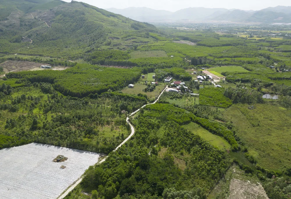 DJI_0231.jpg