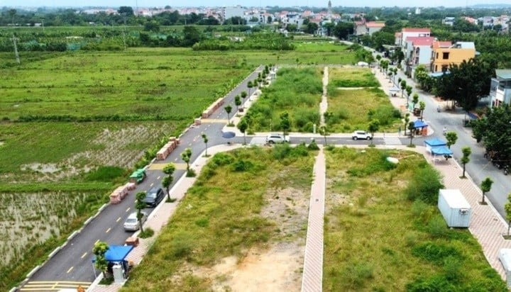 Segundo especialistas, os leilões de terras estão sendo reforçados para que não haja mais uma febre virtual.