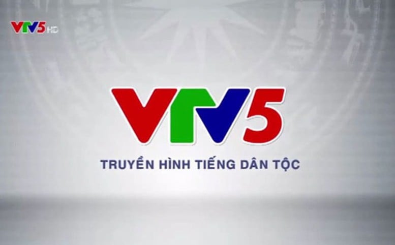 Produktion av tv-program på etniska språk publicerade på digitala plattformar - Foto 1.