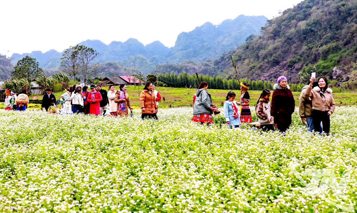 Thái Nguyên khai thác tiềm năng du lịch xanh - Ảnh 3.