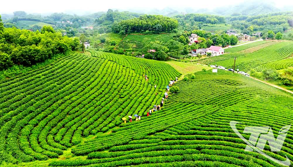 Thái Nguyên khai thác tiềm năng du lịch xanh - Ảnh 6.