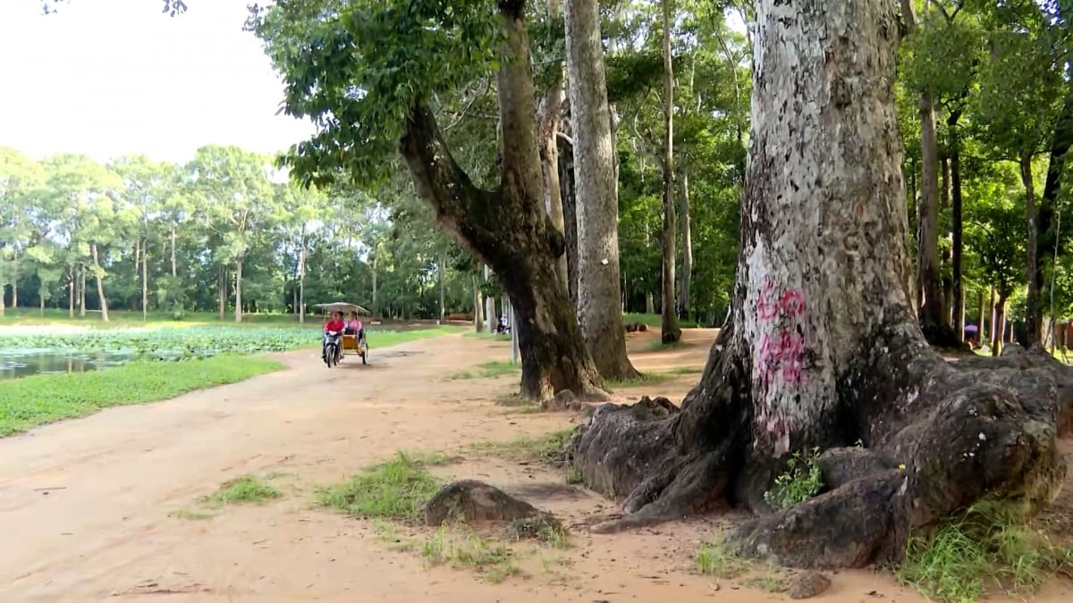 Vĩnh Long phát triển du lịch gắn với bảo tồn bản sắc văn hóa Khmer - Ảnh 3.