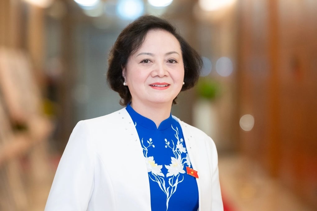 Phân công nhiệm vụ các Phó Thủ tướng Chính phủ - 2