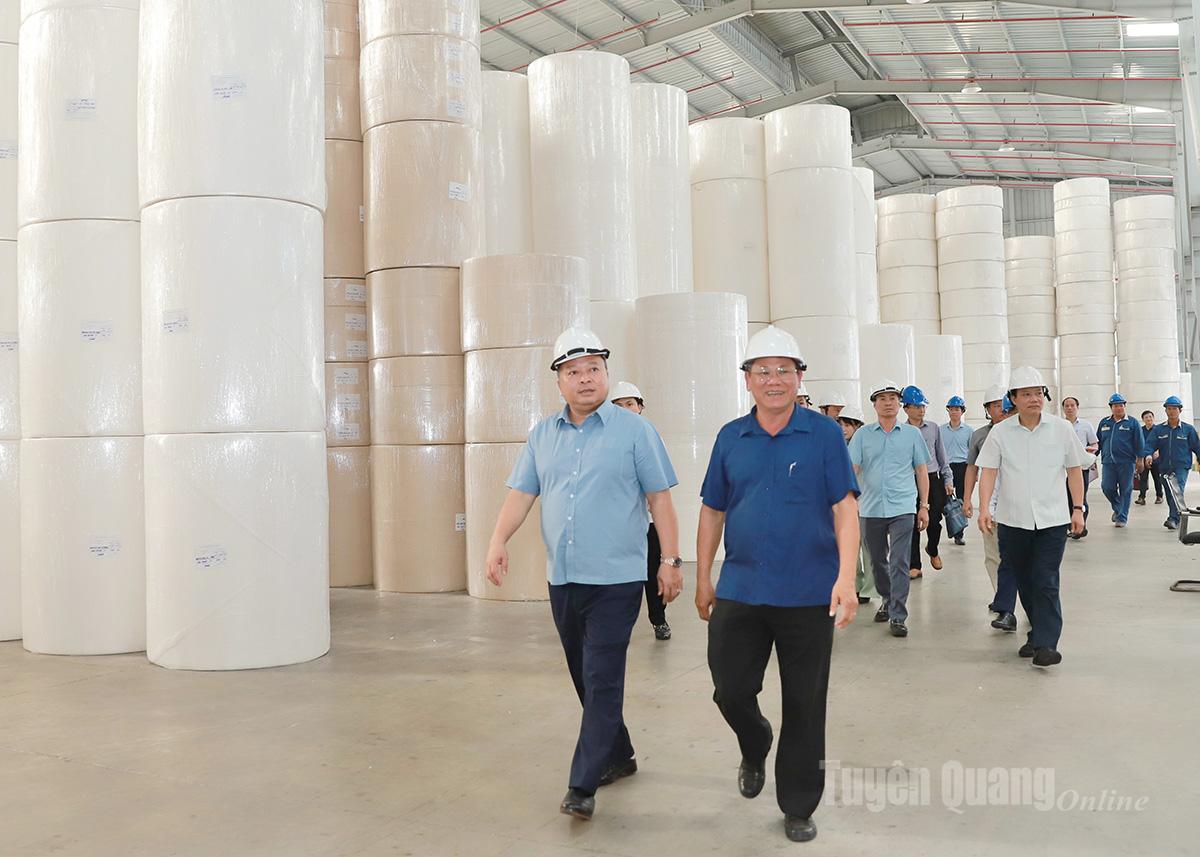 Ordföranden för provinsens folkkommitté, Phan Huy Ngoc, inspekterade verksamheten vid Hong Phat Companys pappersbruk.