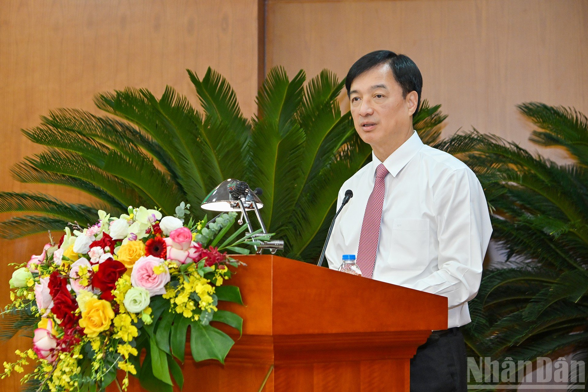 ndo_br_13-847.jpg