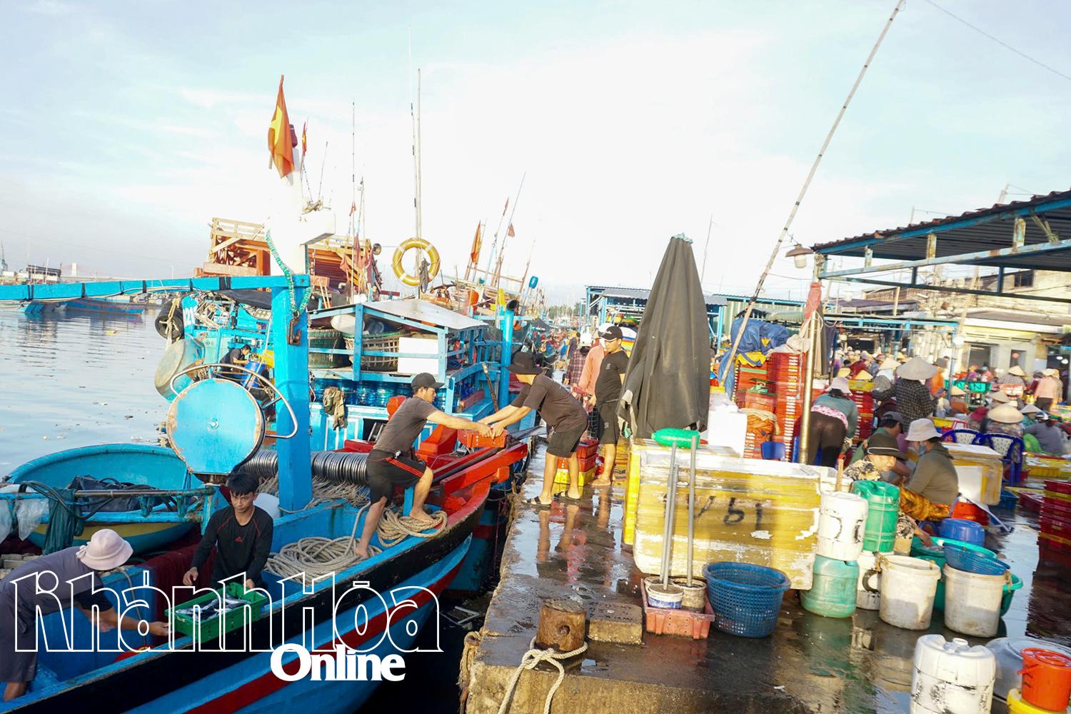 Cảng cá Đông Hải quá tải và xuống cấp.