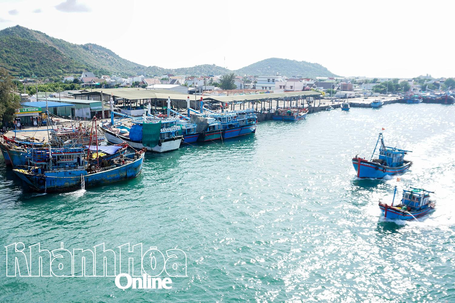 Cảng cá Ninh Chử đã được đầu tư khang trang.