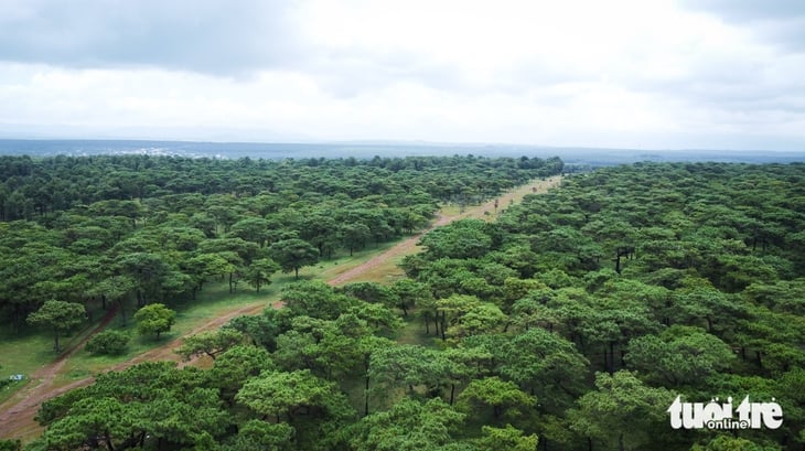 sân golf  - Ảnh 1.