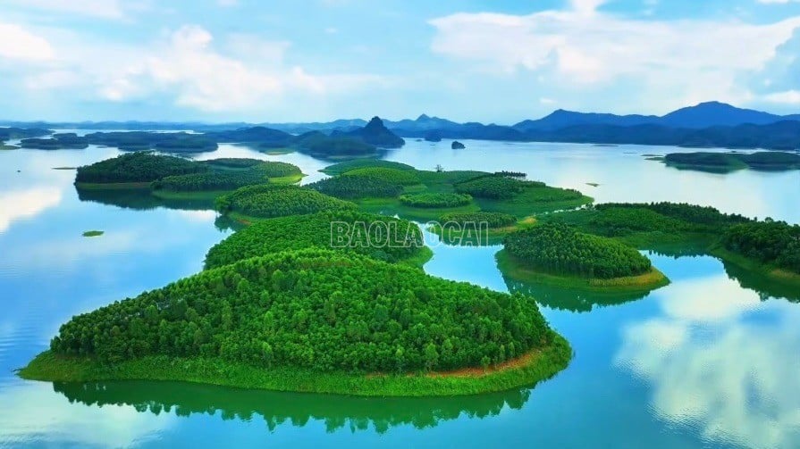 baolaocai-c_z7007792278409-2486150129a4c504e71ea0f3cc4700ae.jpg