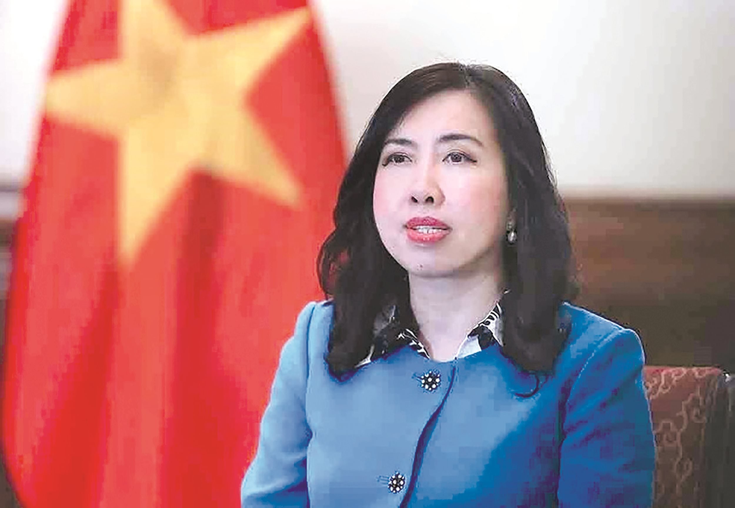 Deputy Minister of Foreign Affairs Le Thi Thu Hang. Photo - VNA