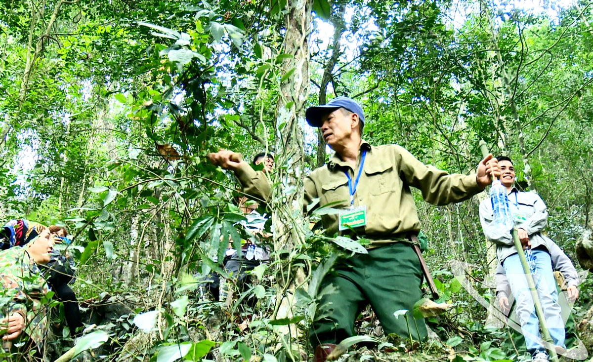 Thac Gieng 경관 보호구역의 산림 순찰.
