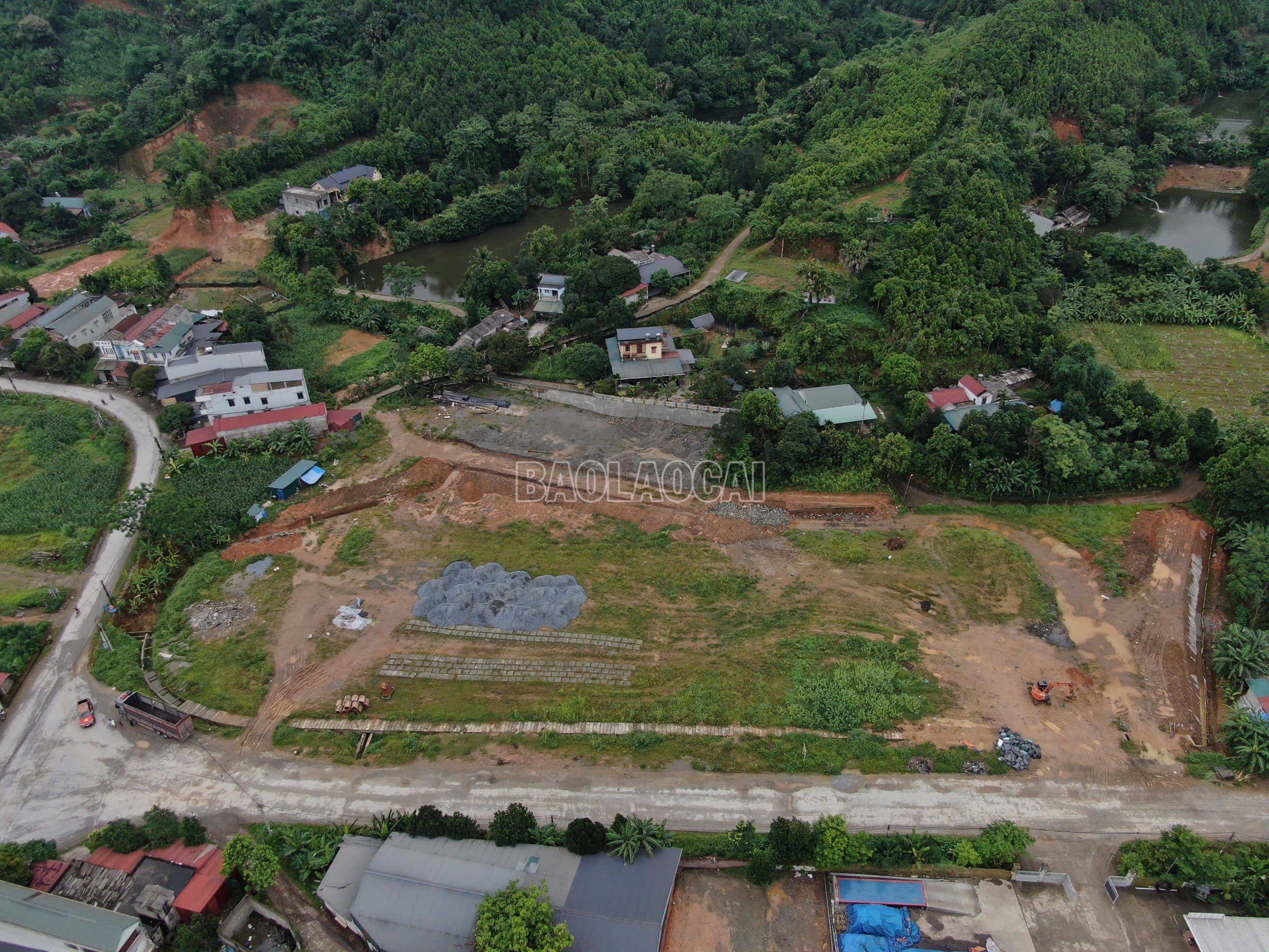 baolaocai-c_z6636921166598-0466bd985985939a26772488bfca1d25.jpg