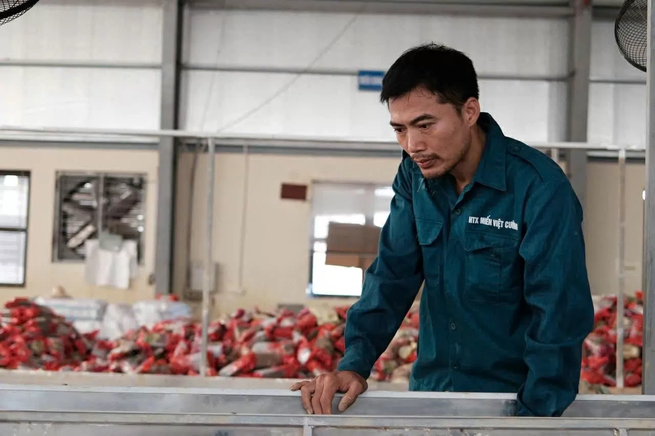 Herr Nguyen Van Ba, chef för Viet Cuong Cooperative, är fortfarande förvirrad över vad som händer.