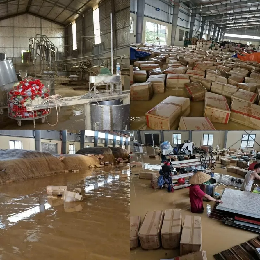 Viet Cuong Cooperatives vermicellifabrik var helt nedsänkt i översvämningsvatten.
