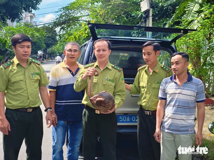 tê tê Java - Ảnh 1.