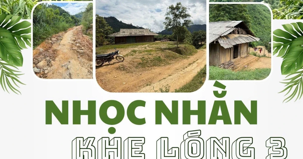 Nhọc nhằn Khe Lóng 3