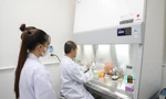 Se necesitan laboratorios modernos para que profesores y estudiantes estudien e investiguen. Foto: HOA BAN